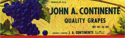 John A. Continente